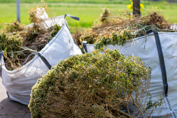 Best Junk Removal Near Me  in Springfield, IL